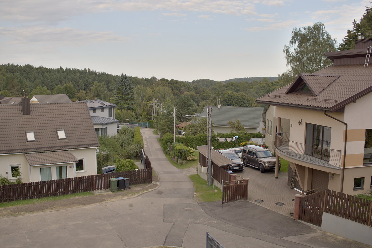 Ribiškių gyvenamasis kvartalas, vienbučiai namai ir pušynas