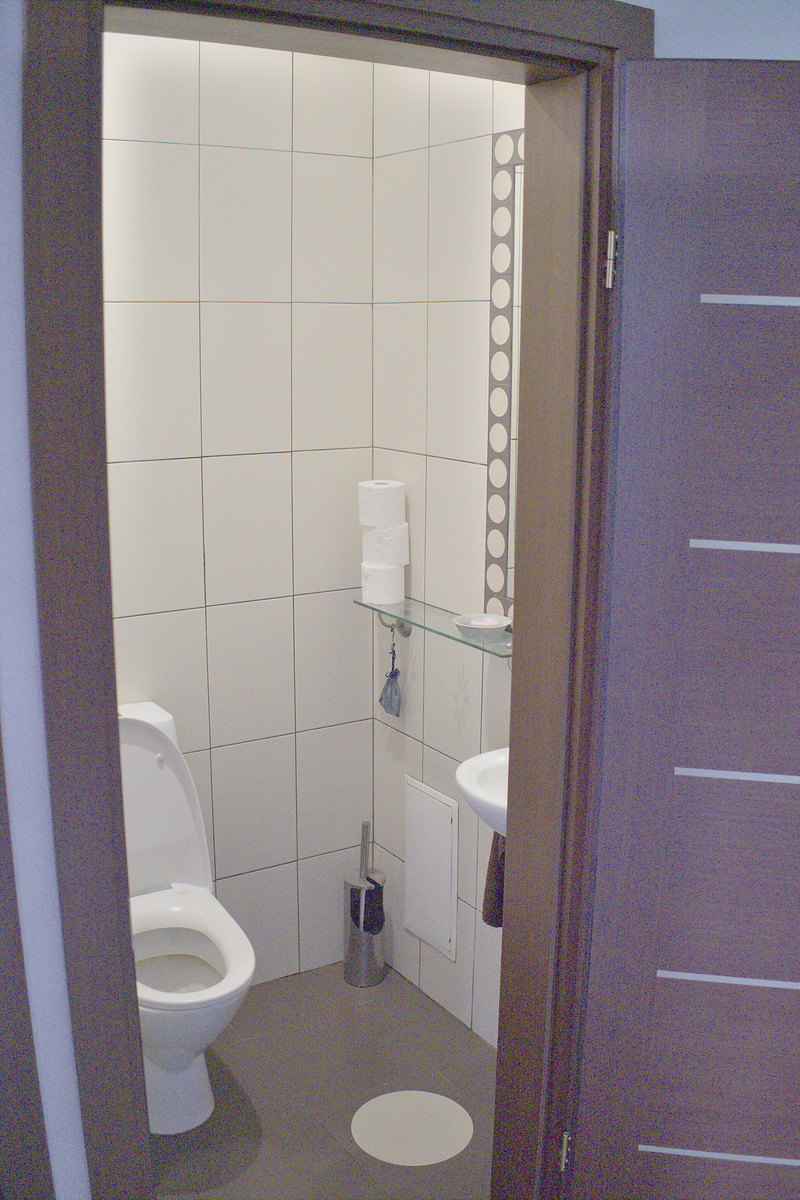 Atskiras svečių tualetas pirmame aukšte